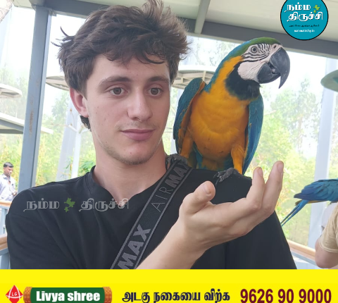 வெளிநாட்டு பயணிகள் பிரமிப்பில்