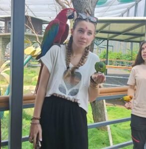 வெளிநாட்டு பயணிகள் பிரமிப்பில்